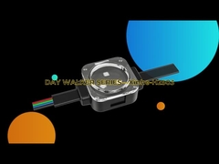 2904 RGBW LED পয়েন্ট লাইট IP67 আউটডোর ওয়াটারপ্রুফ 1903 RGB LED লাইট স্ট্রিং