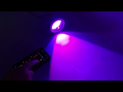 ডাউনলাইট