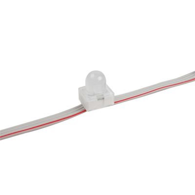 Miracle Bean 12mm LED Pixel Light Waterproof IP67 0.3W 12V