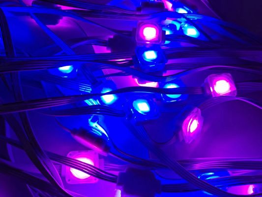 Christmas Colorful Pixel LED Lights For House Eaves 12V 20MM Decorative Lamp