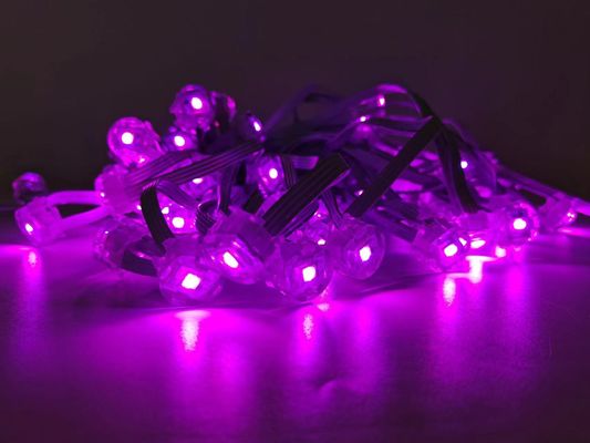 Miracle Bean Brand12V RGBwaterproof Shenzhen Direct Operated Manufacturer LED Outdoor Eaves Decoration Festival Lights