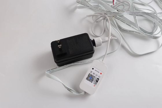 IP67 waterproof RGBW colors smart voice control led permanent outdoor string point eaves light 24V