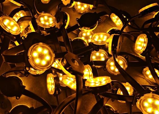IP67 Waterproof 48V LED Pixel Point Lights Remote Transmission RGB Decorative Lights for Holiday and Commercial Projects