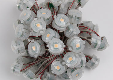 আউটডোর DC12V 20mm এসএমডি 5050 IP67 নেতৃত্বাধীন পিক্সেল ক্রিসমাস লাইট 2000mcd