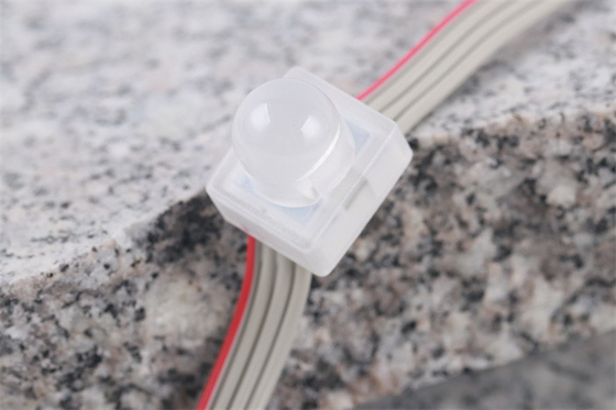 SMD5050 LED পিক্সেল লাইট IP67 DC12V 0.3W একক রঙের জলরোধী মিরাকল বিন