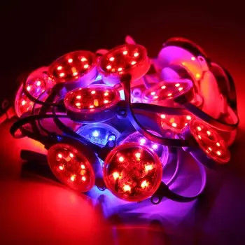 Outdoor Waterproof IP67 24V Bulb Profile lamp 50mm RGB LED Pixel Point Light Sourse