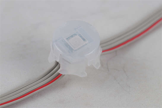 20MM স্থায়ী হলিডে লাইট 5050 Rgb Rgbw 1903 2904 Dmx512 IC Led Pixel Point Light
