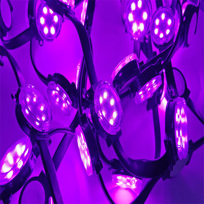 পাইকারি 24v 4cm ব্যাস LED পিক্সেল লাইট পিসি উপকরণ LED ক্রিসমাস ছুটির দিন RGBW জলরোধী 1.5W