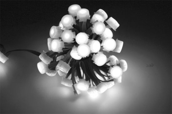 Christmas hot high brightness outdoor decoration LED point light outdoor lighting