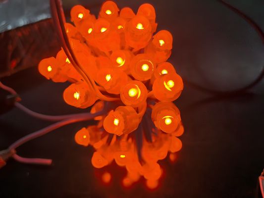 আউটডোর সজ্জা জন্য অ্যাক্রিলিক LED ব্যাকলাইট RGBIC DC5V জেলিফিশ ক্রিসমাস লাইট