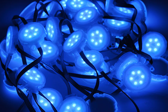 Waterproof SMD 5050 DC 24v Flexible Lighting LED Strip For Outdoor Festival Decoration