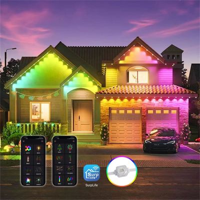 আউটডোর ক্রিসমাস সজ্জা 160 LED RGBW SMD5050 রিমোট কন্ট্রোল সহ ইভ লাইট