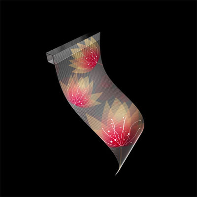 High Brightness Flexible Color LED Point Light Source LED Transparent Screen