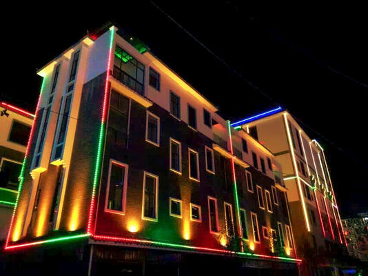 স্মার্ট ওয়াইফাই কন্ট্রোলার ওয়াটারপ্রুফ আইপি 67 আরজিবিডাব্লু 12 ভি 30 মিমি আউটডোর এলইডি স্ট্রিপ আউটডোর প্রোগ্রামযোগ্য আলোকসজ্জা আলো ল্যান্ডস্কেপ ল্যাম্প