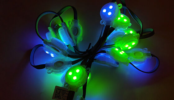 হোম /এলইডি পয়েন্ট লাইট/ফ্যাক্টরি মূল্য আউটডোর আরজিবি এলইডি পয়েন্ট লাইট ফুল কালার ২৯.৫ মিমি ডিসি ১২ ভি আইপি ৬৭ ওয়াটারপ্রুফ এলইডি পিক্সেল লাইট