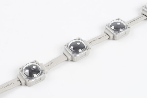 এলইডি পয়েন্ট লাইট ২৫মিমি আইপি৬৭ এসএমডি ৩৫৩৫ ০.৭৫ ওয়াট বাগান বা ভবনের জন্য পরিবর্তনশীল আলংকারিক আলো