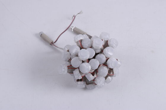 ওয়াটারপ্রুফ LED পয়েন্ট লাইট 20mm DC12V Ip67 হাই লুমেন আউটডোর বাগান এবং বিল্ডিং পরিবেষ্টিত ল্যাম্প
