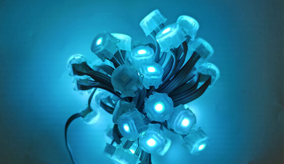 25mm Outdoor RGBW LED Point Light with IP67 Waterproof PC Shell and DMX512 Control for Building Decoration