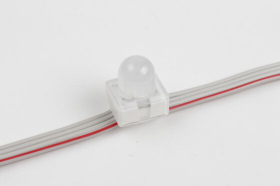 12মিমি RGB SMD5050 LED পয়েন্ট লাইট IP67 থ্রু-হোল অ্যাঙ্কর পিক্সেল লাইট 160 বিম অ্যাঙ্গেল সহ
