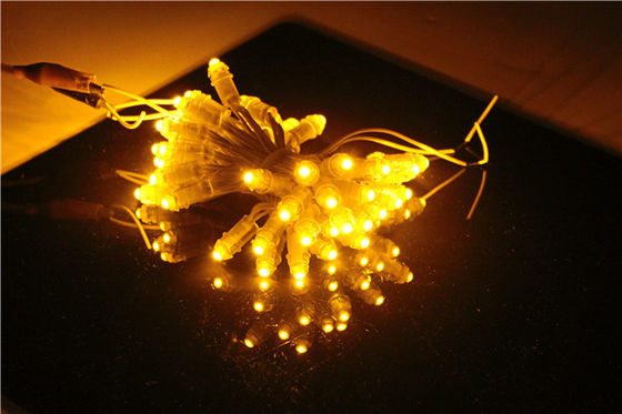 Miracle Bean EPISTAR IP67 12V 0.15W 9mm LED পিক্সেল স্ট্রিং লাইট