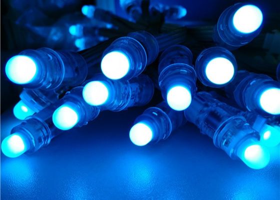 Miracle Bean 12mm Rgb Addressable WS2811 1903 ক্রিসমাস ফুল কালার RGB F8 12mm 5V 12V LED পিক্সেল লাইট কারখানা থেকে