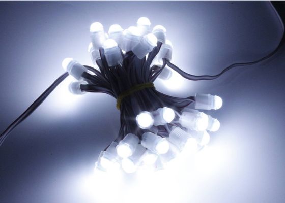 মিরাকল বিন 0.2w 16lm LED পয়েন্ট পিক্সেল লাইট 9 মিমি 12 ভি IP67