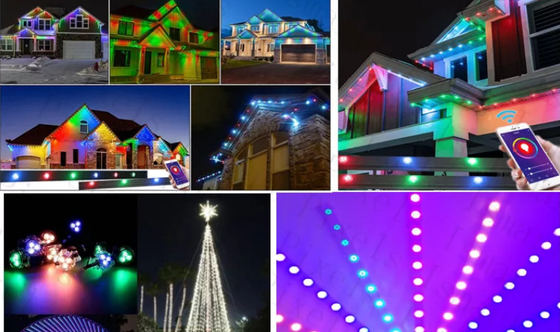 2904 RGBW LED পয়েন্ট লাইট IP67 আউটডোর ওয়াটারপ্রুফ 1903 RGB LED লাইট স্ট্রিং
